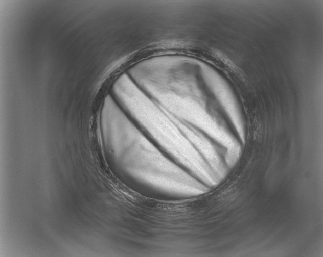 X0000054371213200508191837