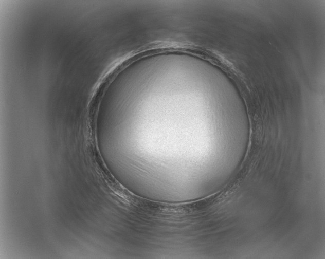 X0000054371215200508191837