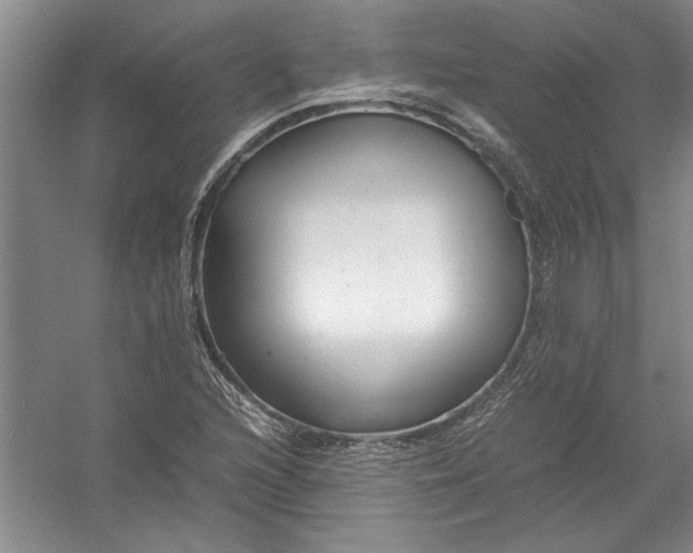 X0000054371216200508191837