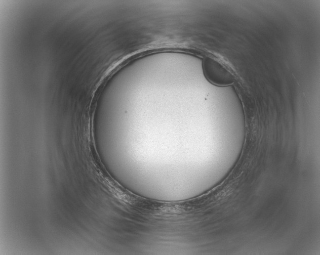 X0000054371220200508191838