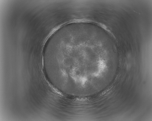 X0000054371221200508191838