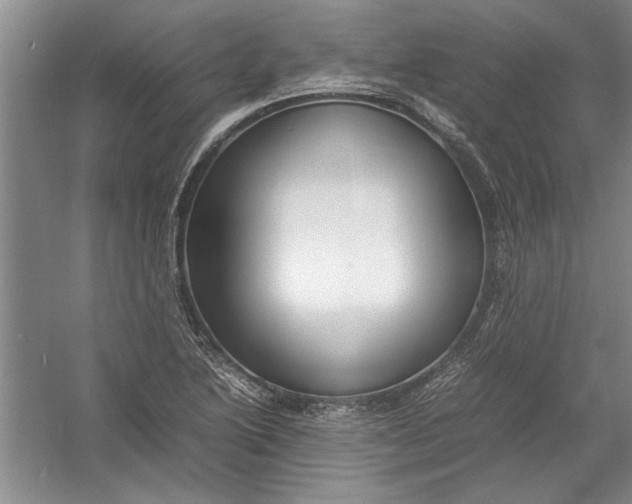 X0000054371222200508191838