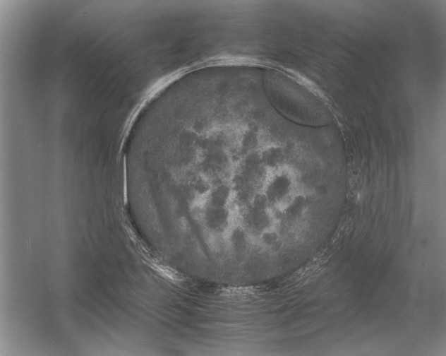 X0000054371223200508191838