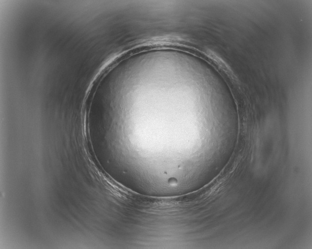 X0000054371224200508191838