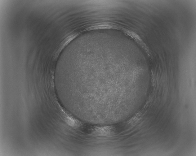 X0000054371225200508191838