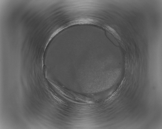 X0000054371226200508191838