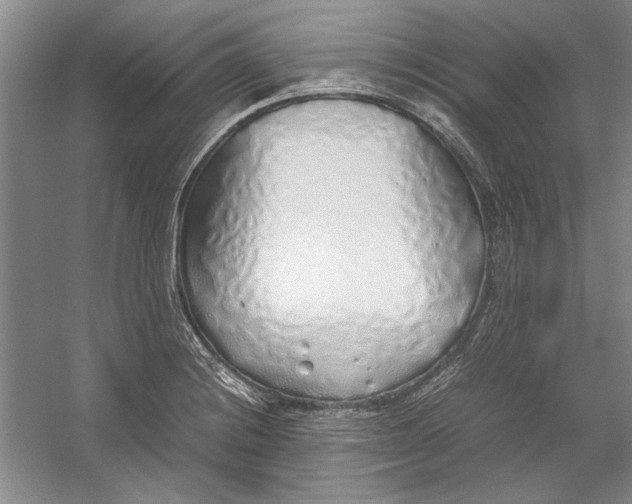 X0000054371228200508191838