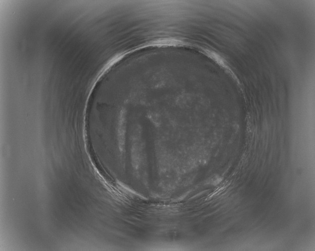 X0000054371229200508191838