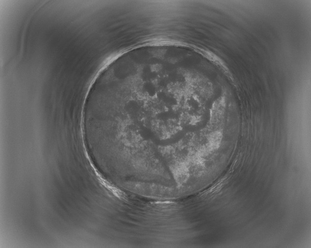 X0000054371231200508191838