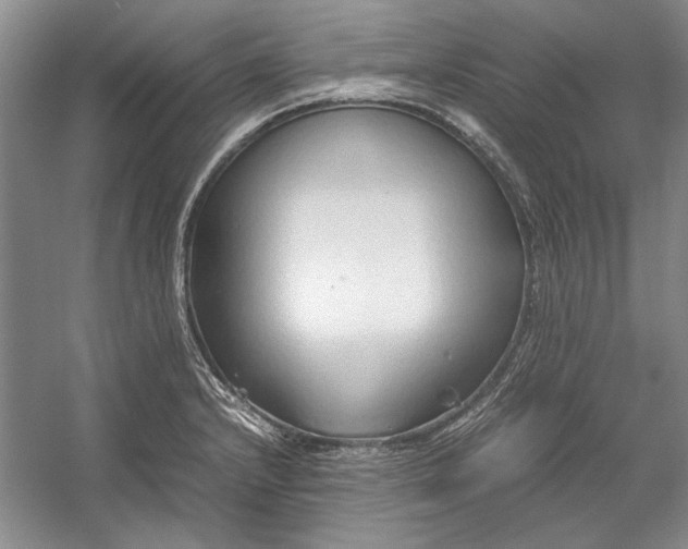 X0000054371232200508191838