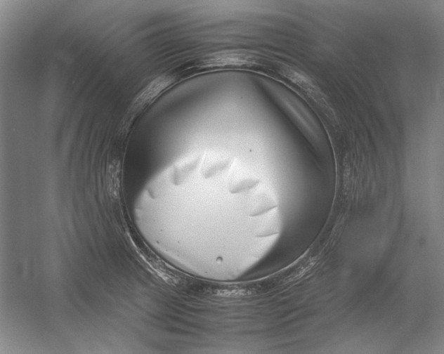 X0000054371233200508191838