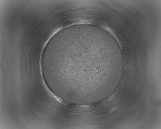 X0000054371235200508191838