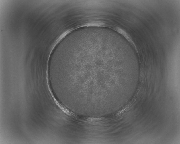 X0000054371237200508191838