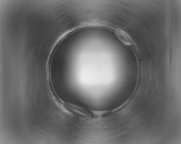 X0000054371238200508191838