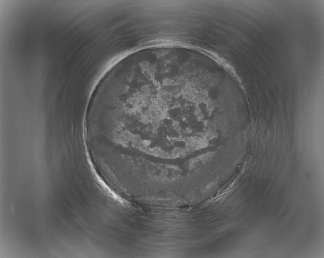 X0000054371239200508191838