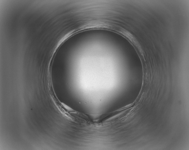 X0000054371242200508191838