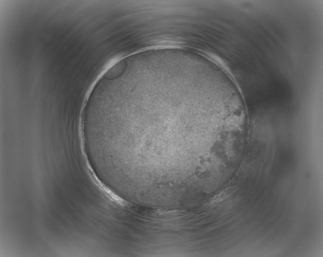 X0000054371243200508191838