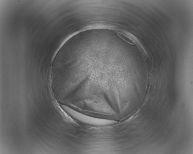 X0000054371244200508191838