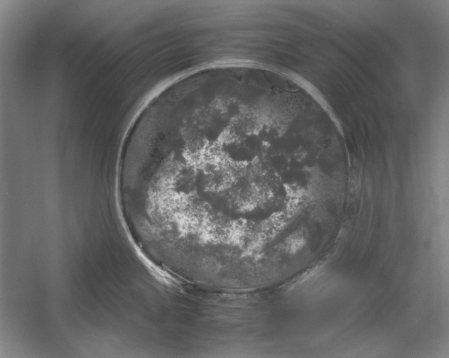 X0000054371245200508191838