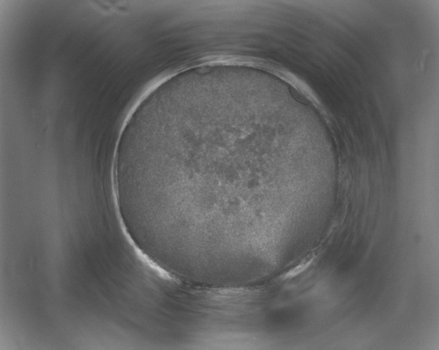 X0000054371247200508191838