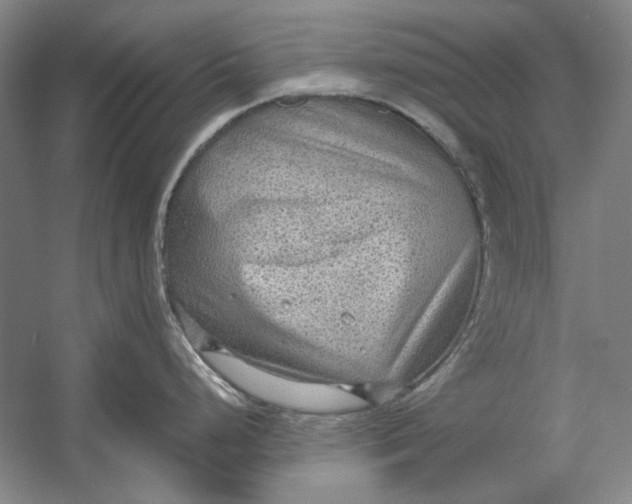 X0000054371248200508191838