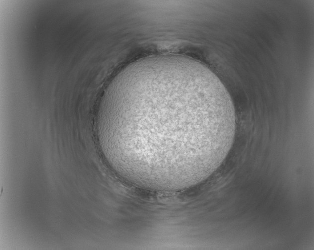 X0000054371249200508191837