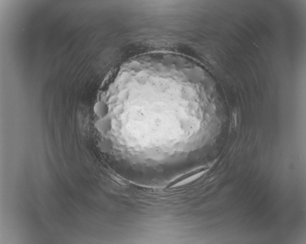 X0000054371251200508191837