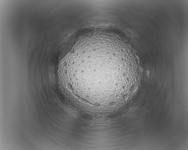 X0000054371252200508191837