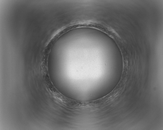 X0000054371256200508191837