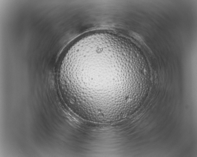 X0000054371260200508191837