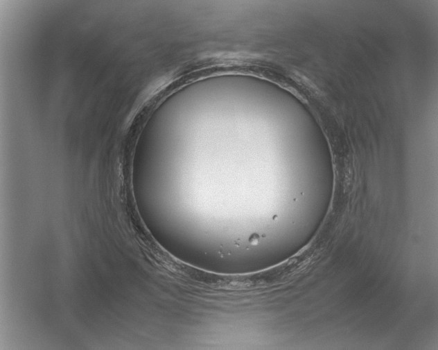 X0000054371261200508191837