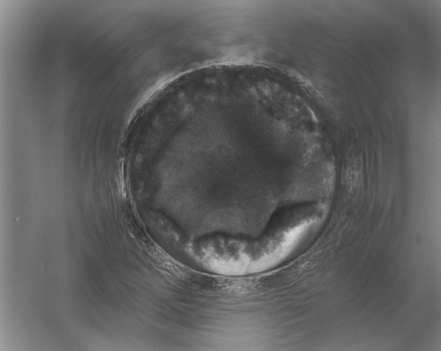 X0000054371262200508191837