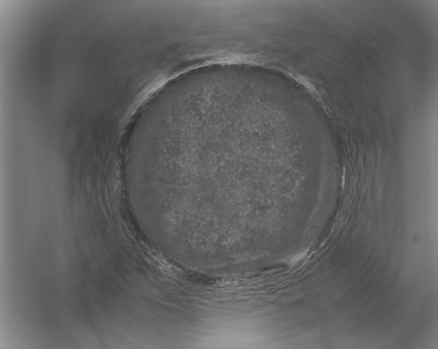 X0000054371263200508191837