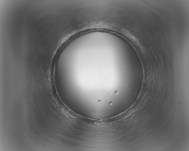 X0000054371264200508191837