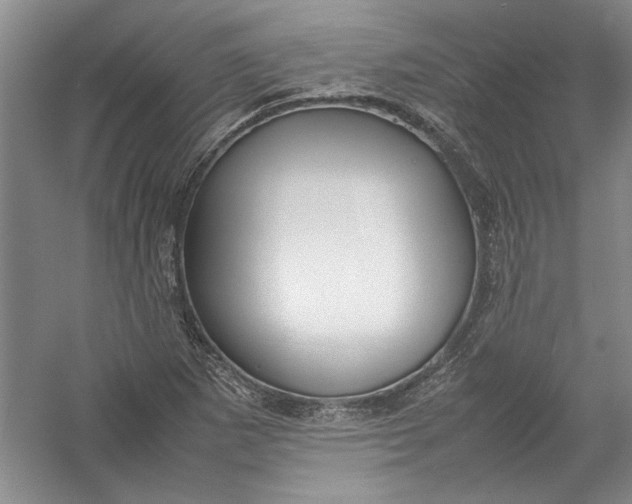 X0000054371265200508191837