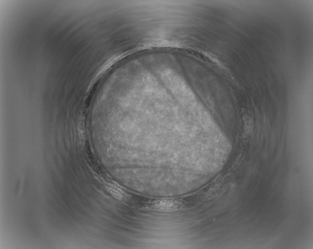 X0000054371266200508191837