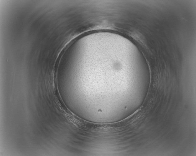 X0000054371268200508191837