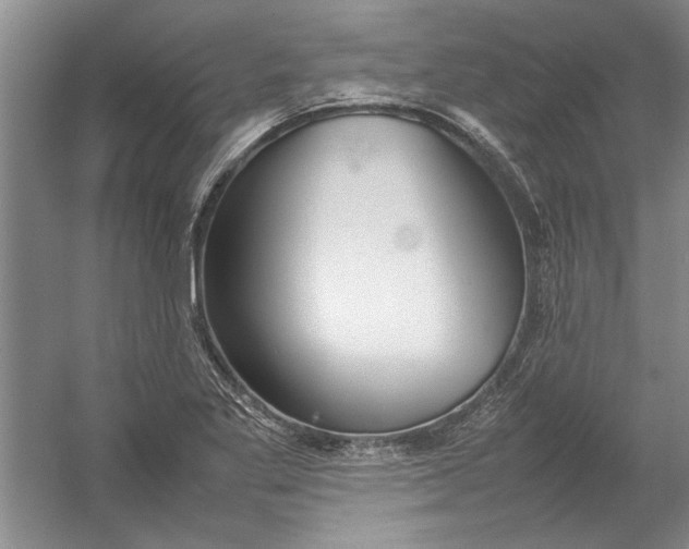 X0000054371269200508191837