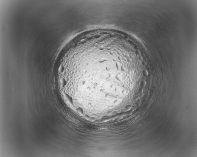 X0000054371271200508191837