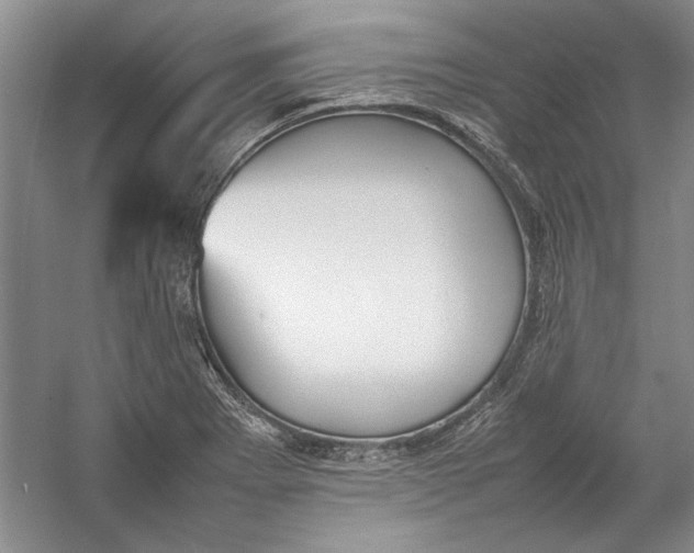 X0000054371273200508191837