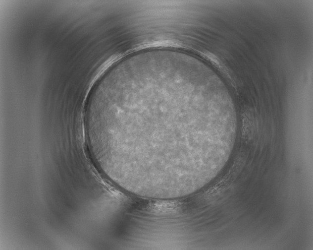 X0000054371274200508191837