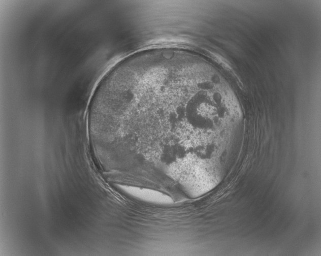 X0000054371275200508191837