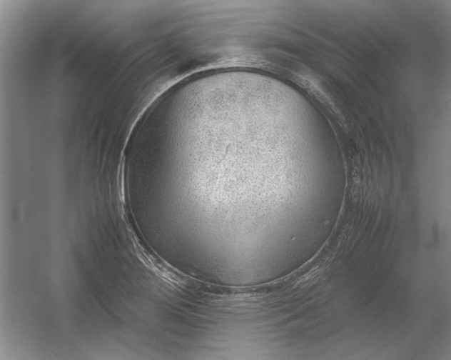 X0000054371276200508191837