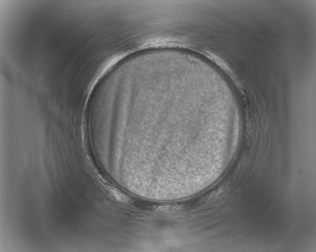 X0000054371277200508191837