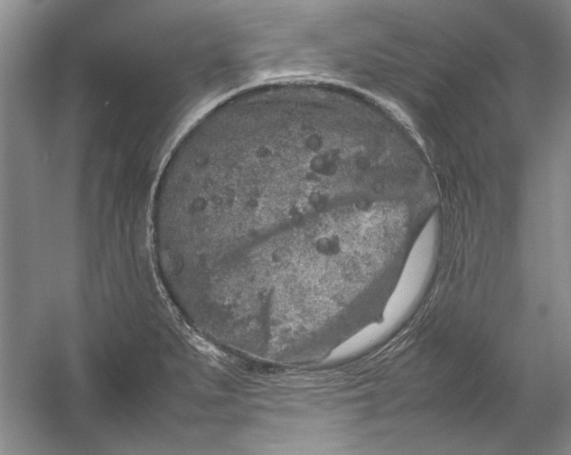 X0000054371279200508191837