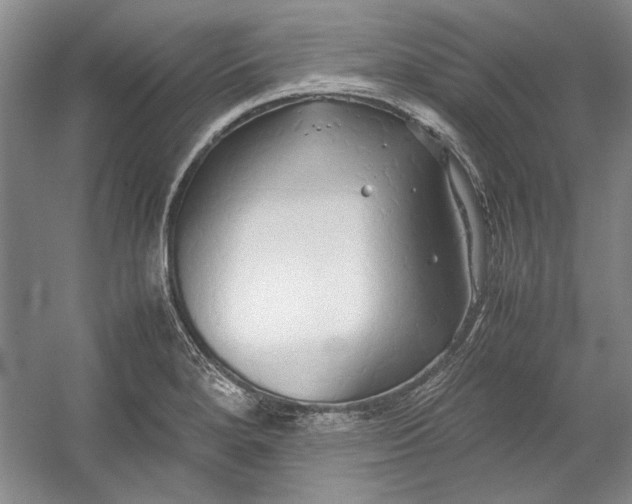 X0000054371280200508191837