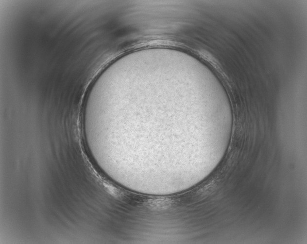 X0000054371282200508191837