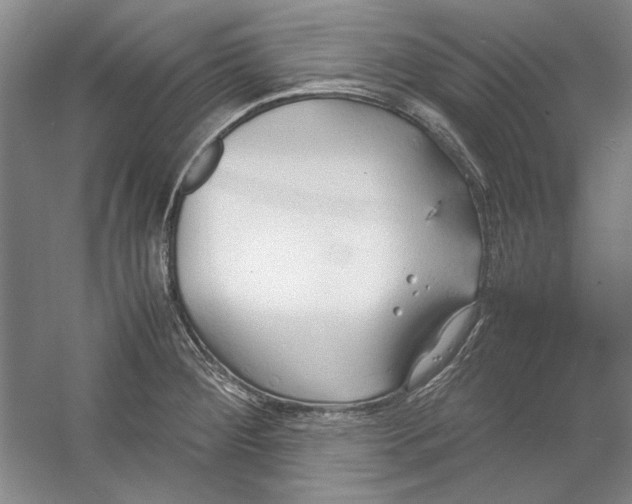 X0000054371284200508191837