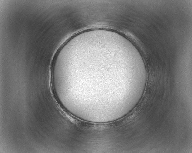 X0000054371286200508191837