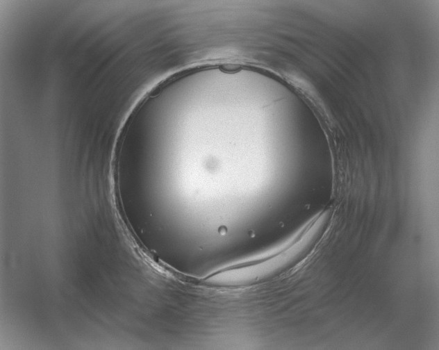 X0000054371288200508191837